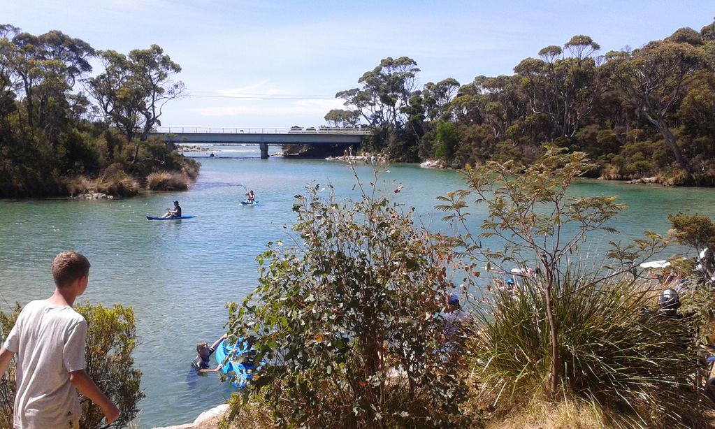 Photo of Others in Crayfish Creek