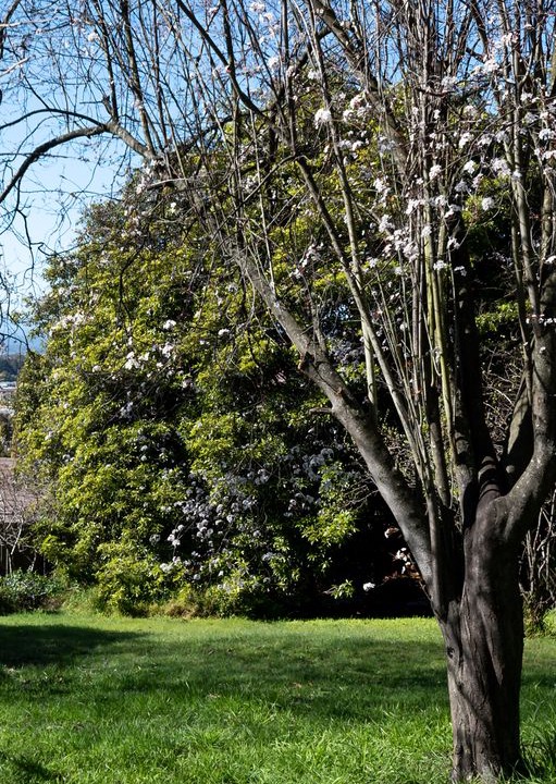 Photo of Others in Kings Meadows