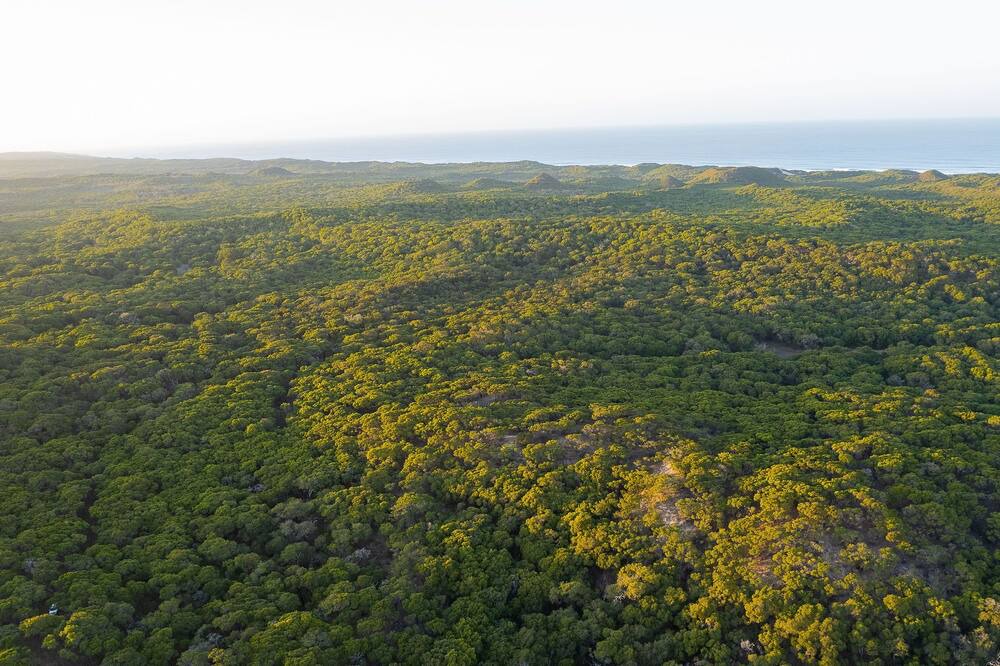 Photo of Outdoor in Scott River