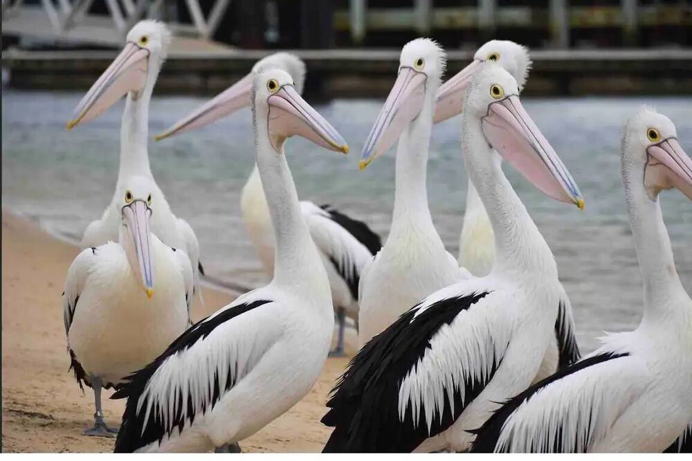 Photo of Others in San Remo
