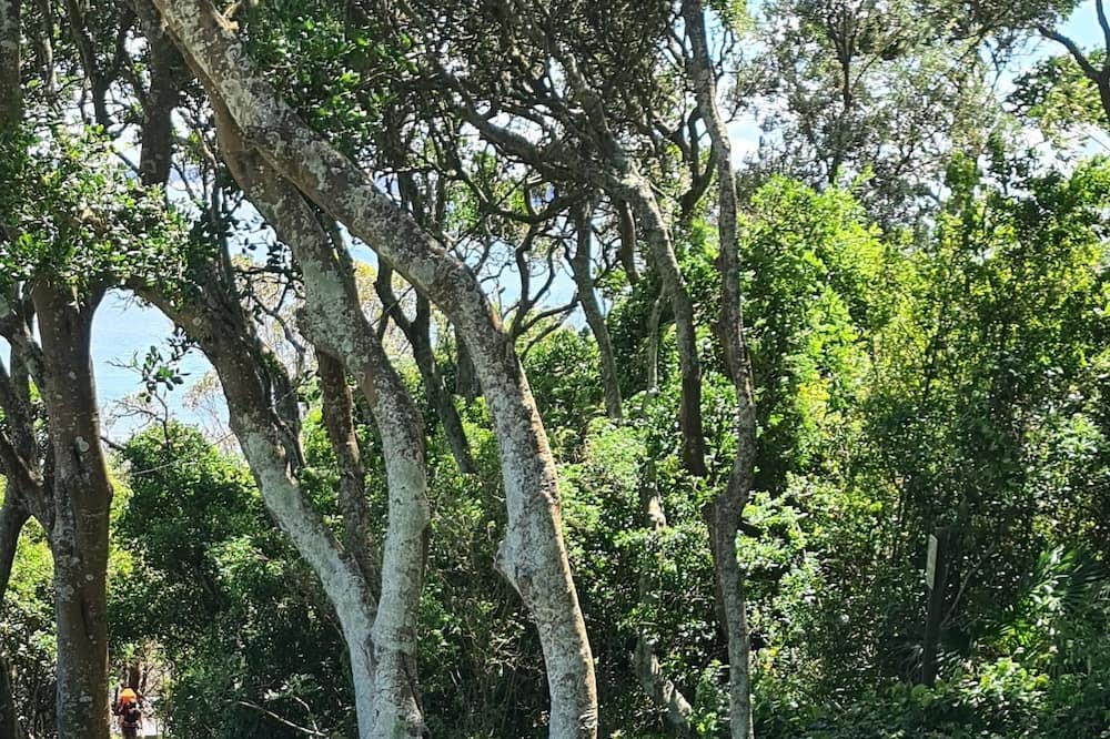 Photo of Others in Central Coast