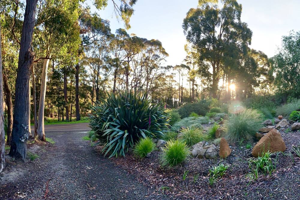 Photo of Outdoor in Abels Bay