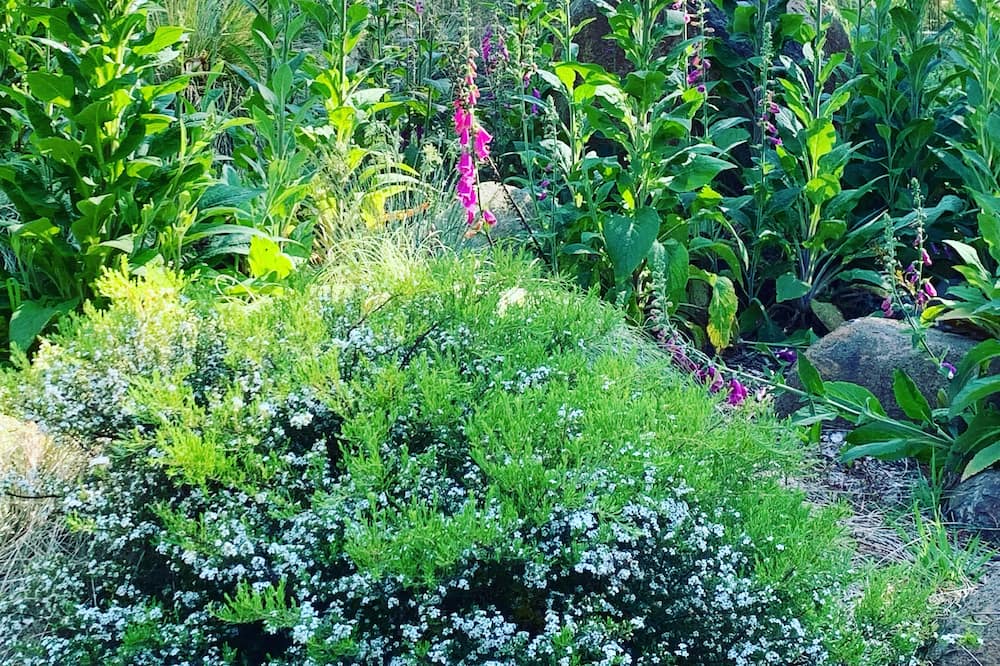 Photo of Outdoor in Abels Bay
