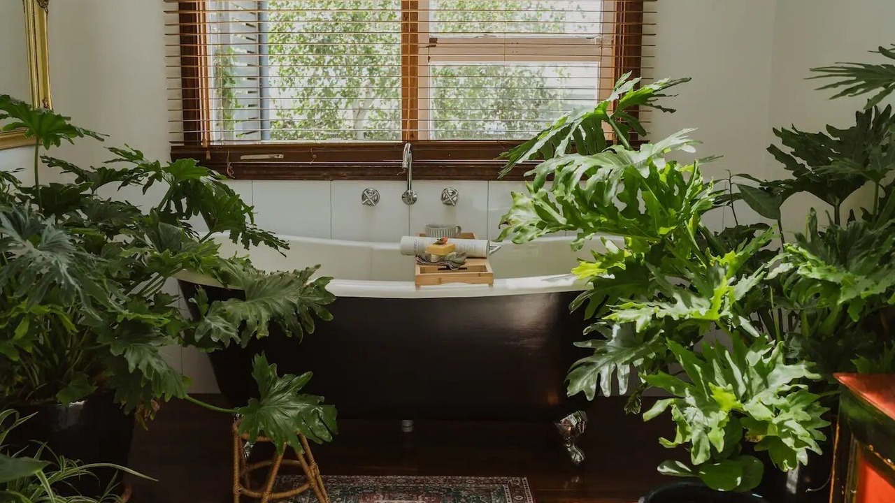 Photo of Bathroom in Centennial Park
