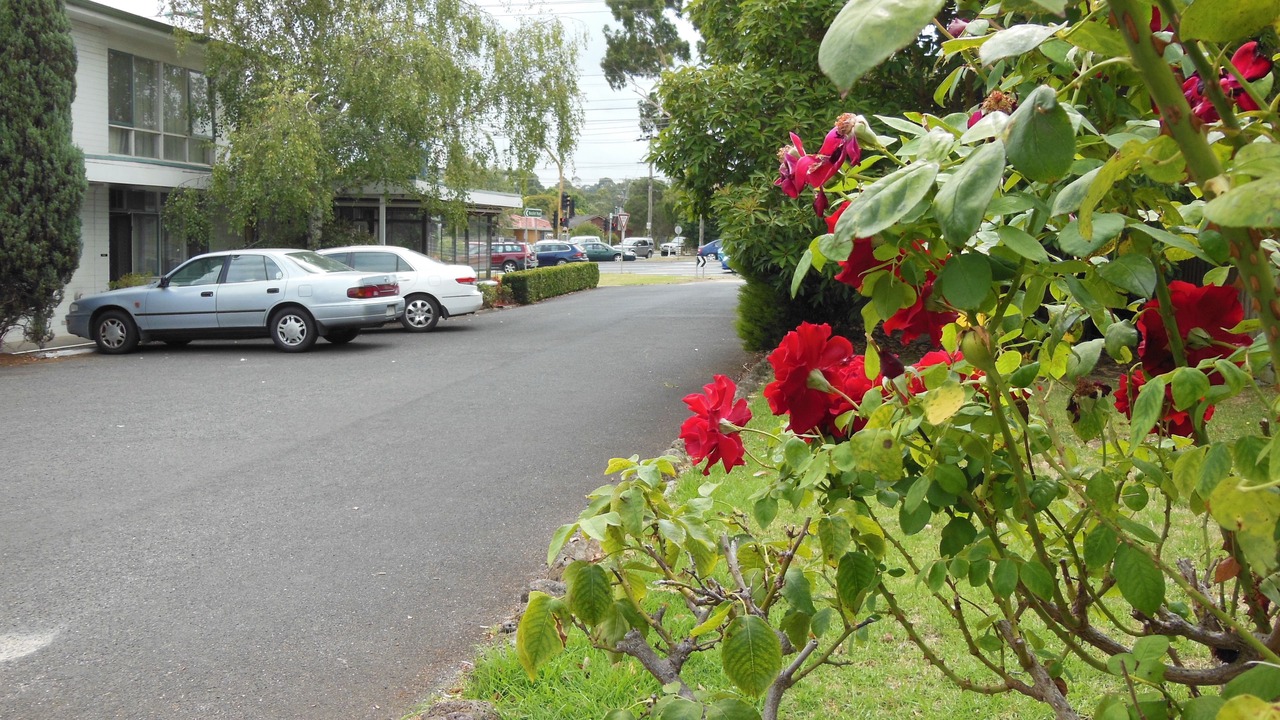 Photo of Outdoor in Croydon