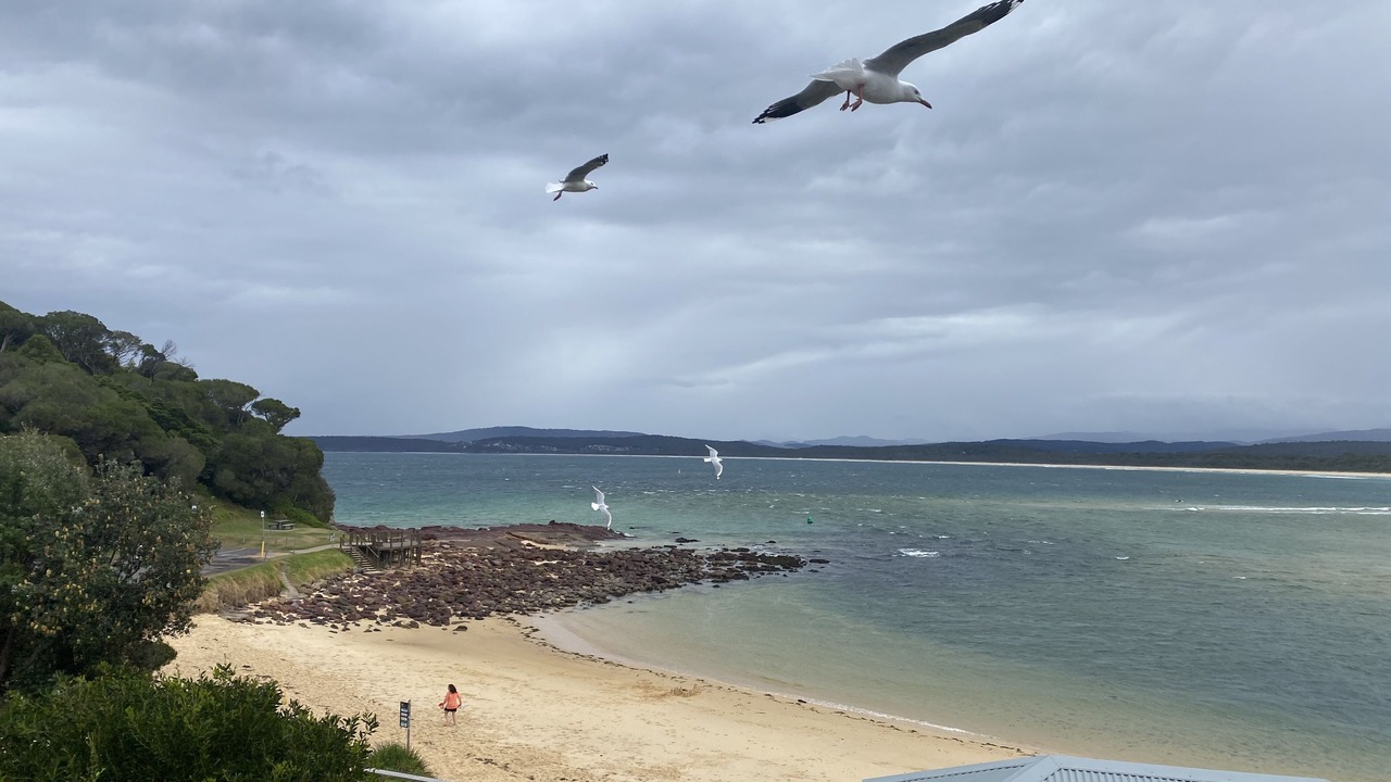 Photo of Outdoor in Pambula Beach