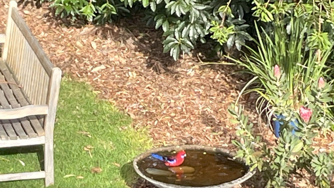 Photo of Outdoor in Marlo