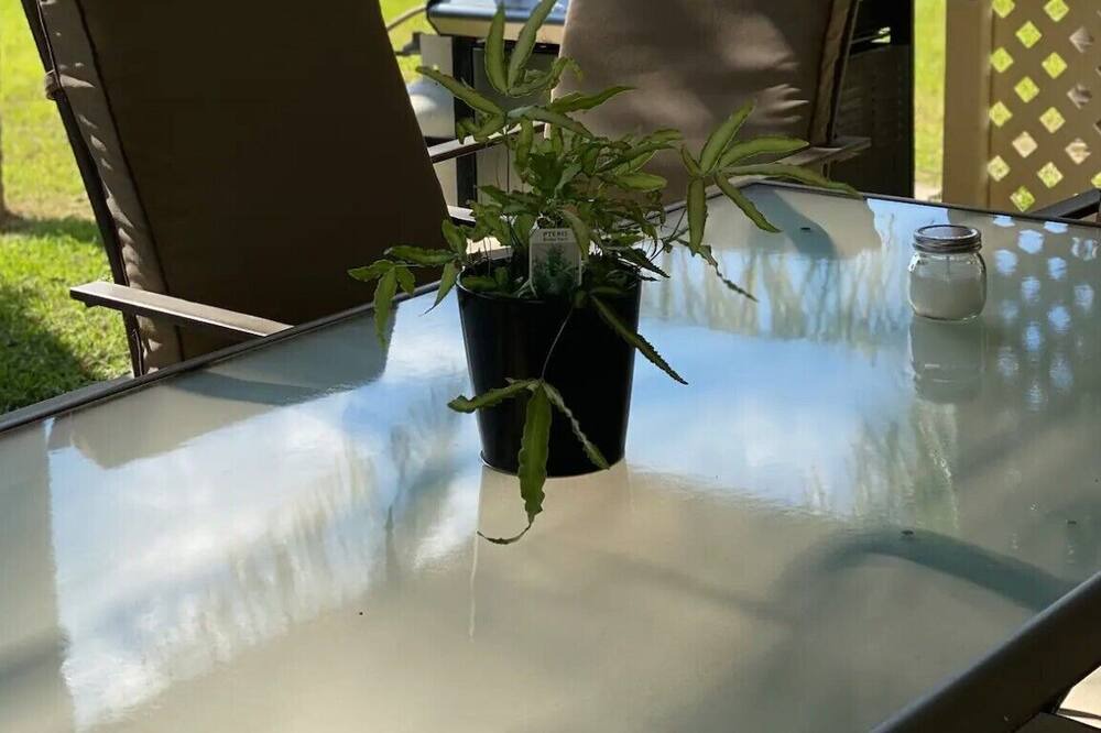 Photo of Patio Balcony in Mandurang South