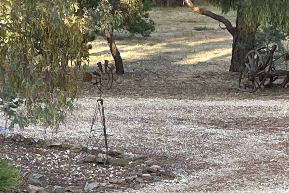 Photo of Outdoor in Mount Alexander Shire