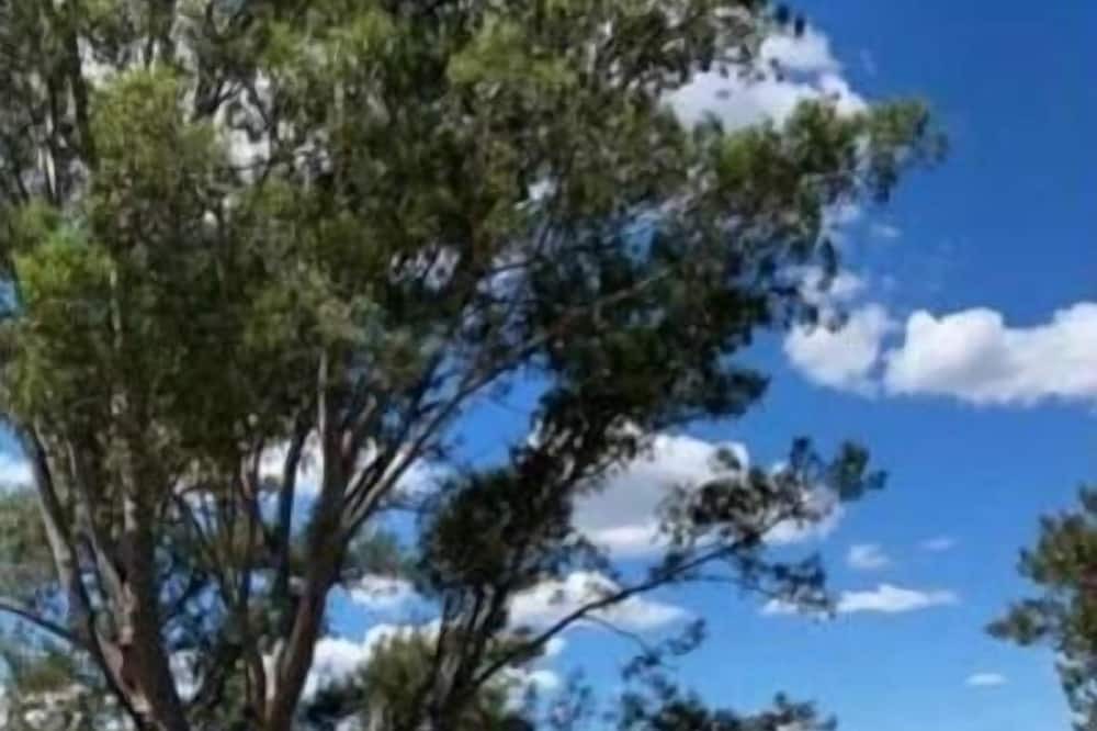 Photo of Others in Yarramundi