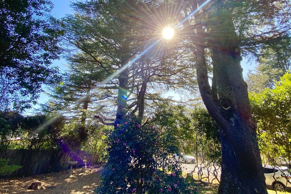 Photo of Outdoor in Wentworth Falls