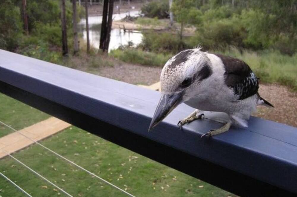 Photo of Others in Margaret River