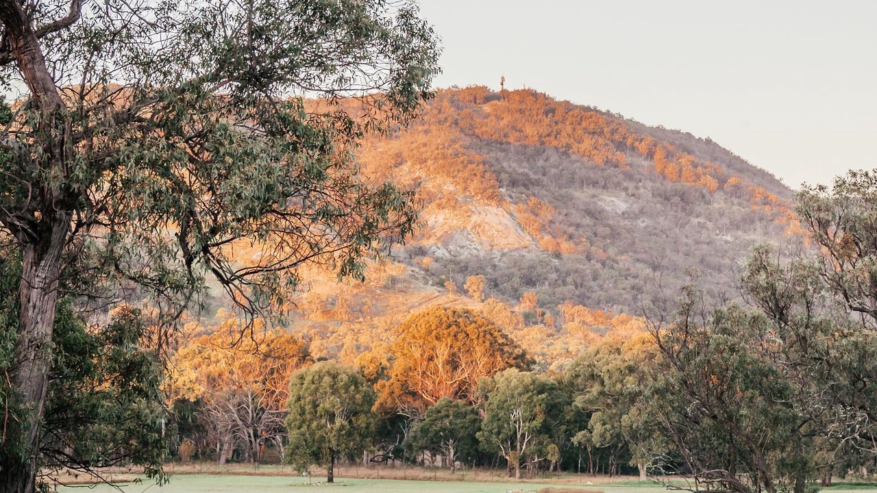 Photo of Others in Tenterfield