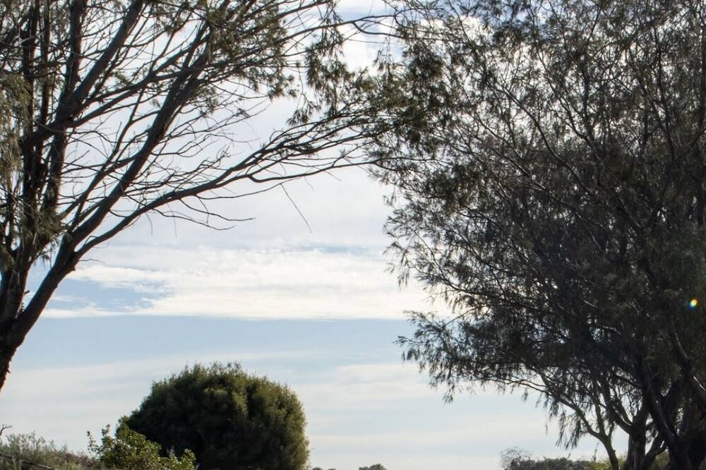 Photo of Outdoor in Singleton