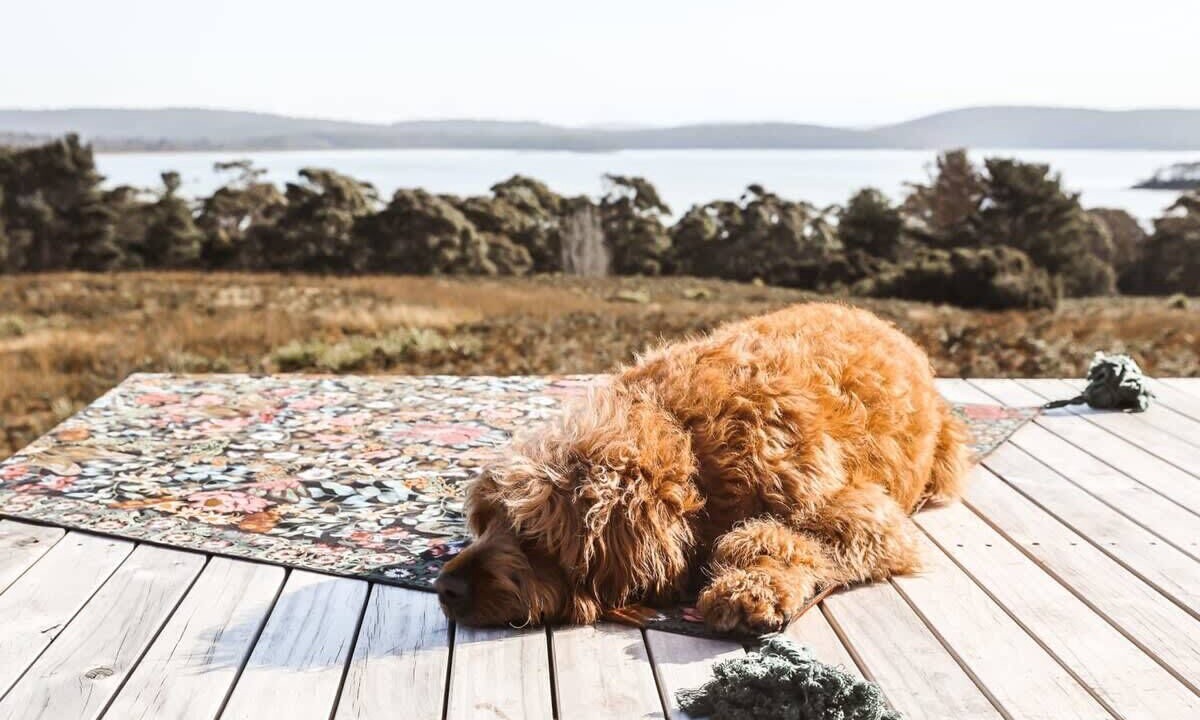 Photo of Outdoor in South Bruny