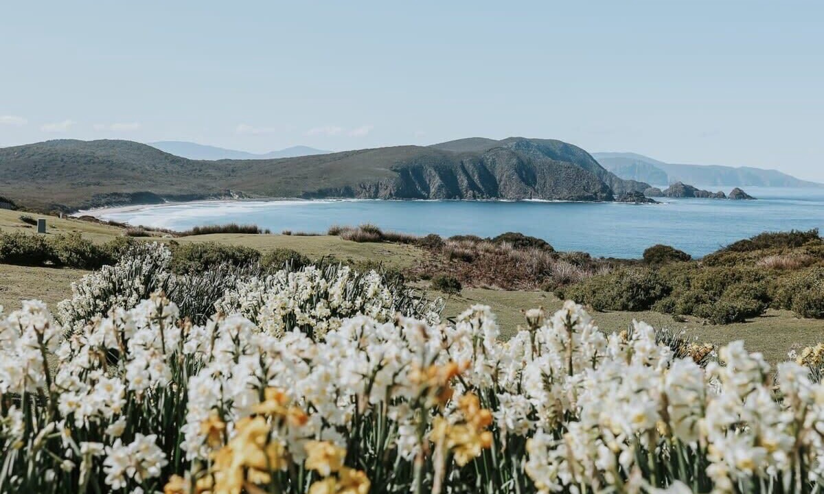 Photo of Others in South Bruny