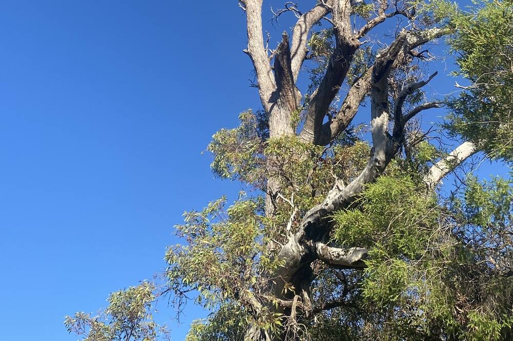 Photo of Others in Shire Of Murray