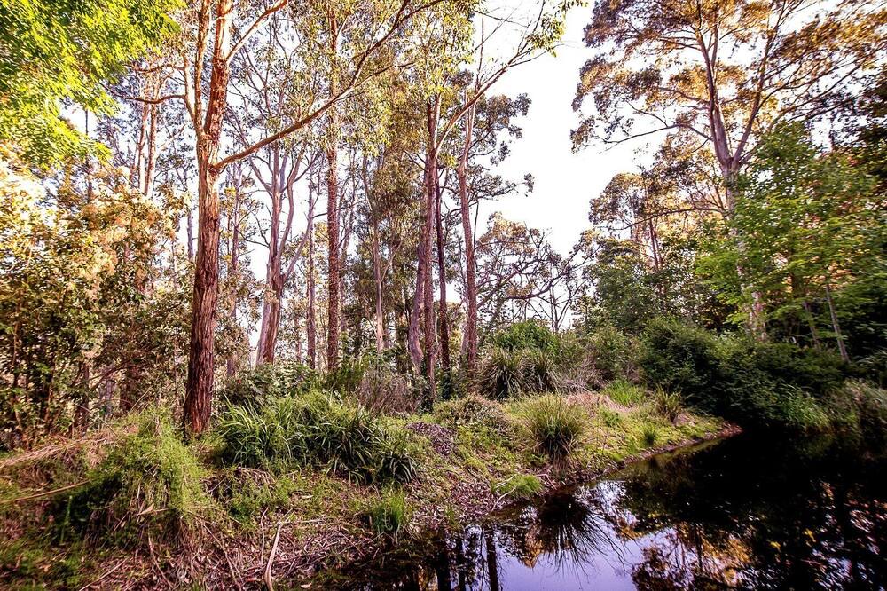 Photo of Outdoor in Mount Macedon