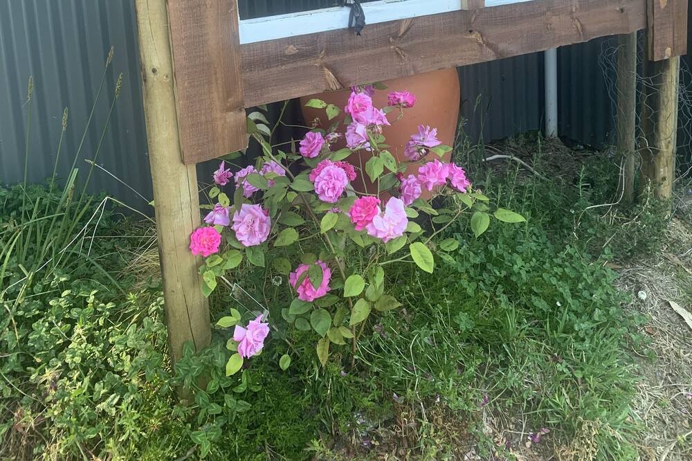 Photo of Outdoor in Hampton