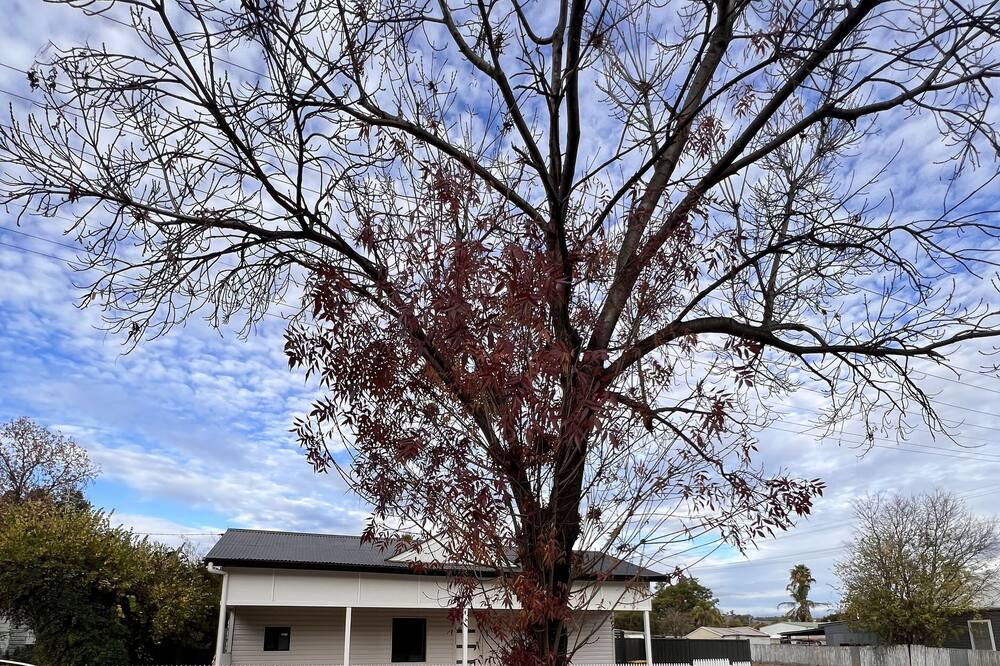 Photo of Outdoor in Wellington