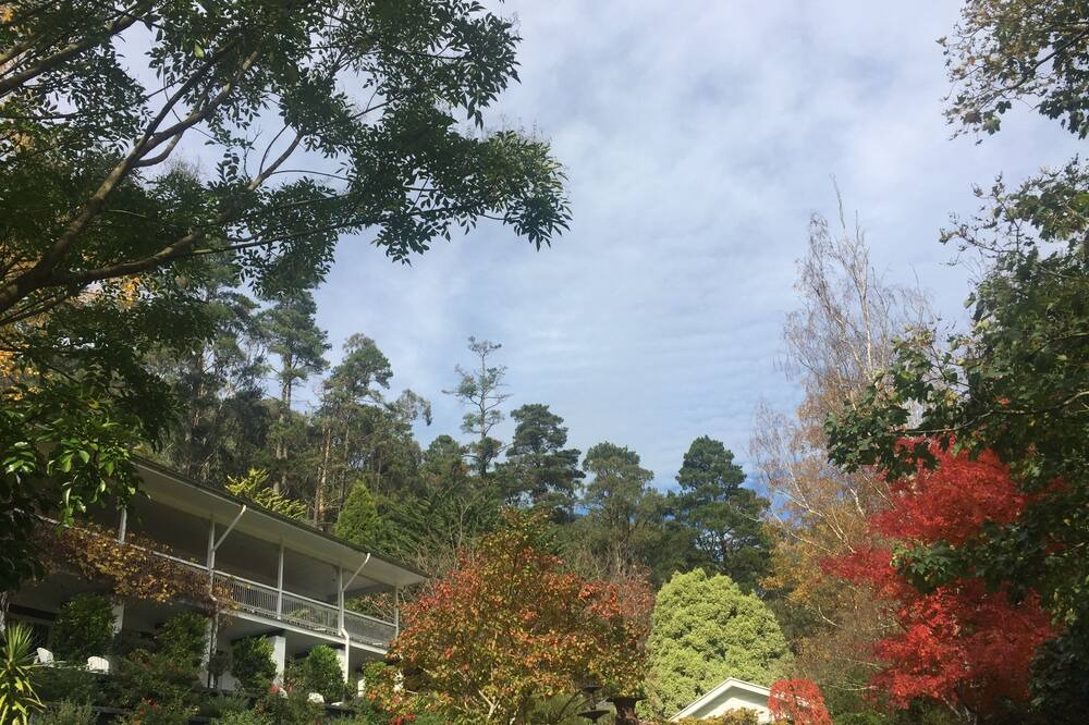 Photo of Outdoor in Healesville