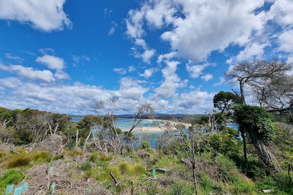 Photo of Others in Merimbula