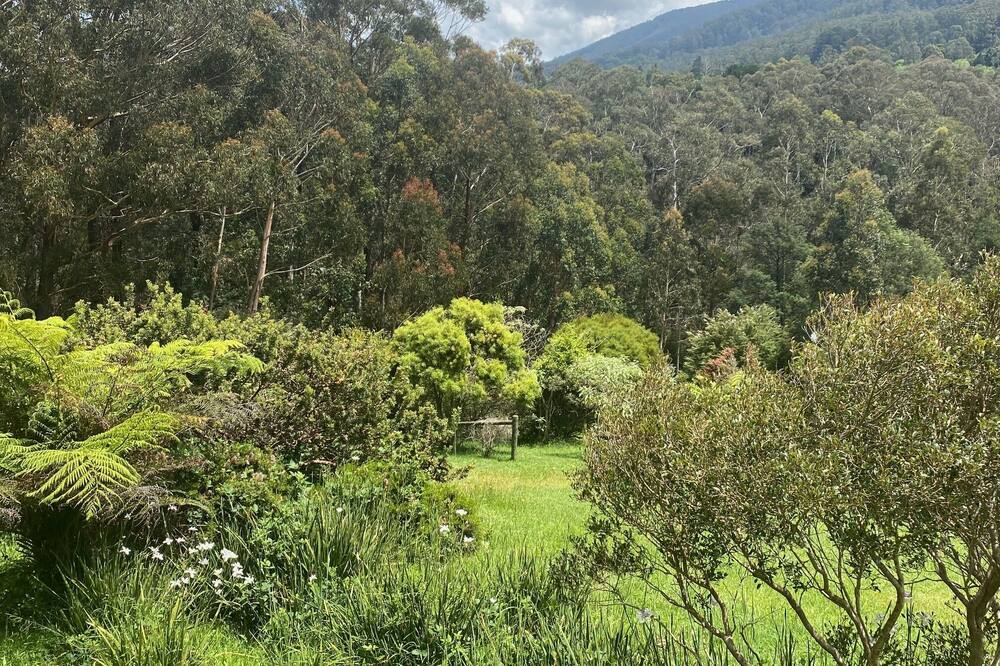Photo of Outdoor in Warburton