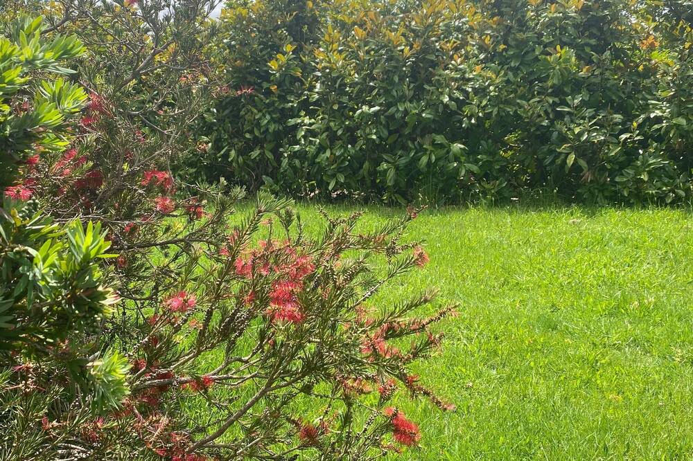 Photo of Outdoor in Warburton