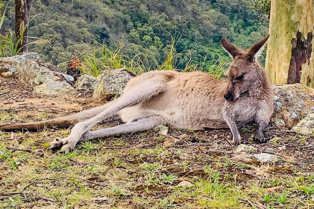 Photo of Outdoor in Vacy