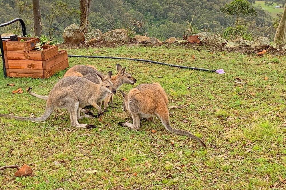 Photo of Outdoor in Vacy