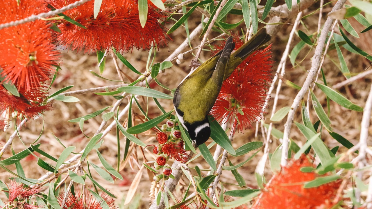 Photo of Outdoor in Bremer Bay
