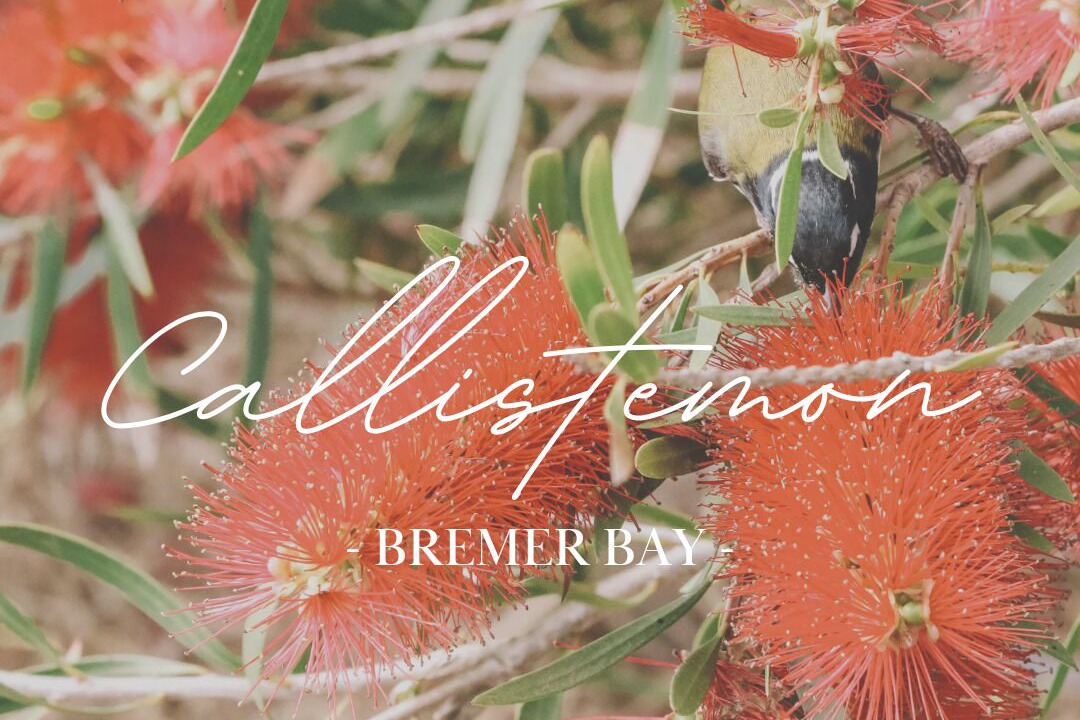 Photo of Outdoor in Bremer Bay