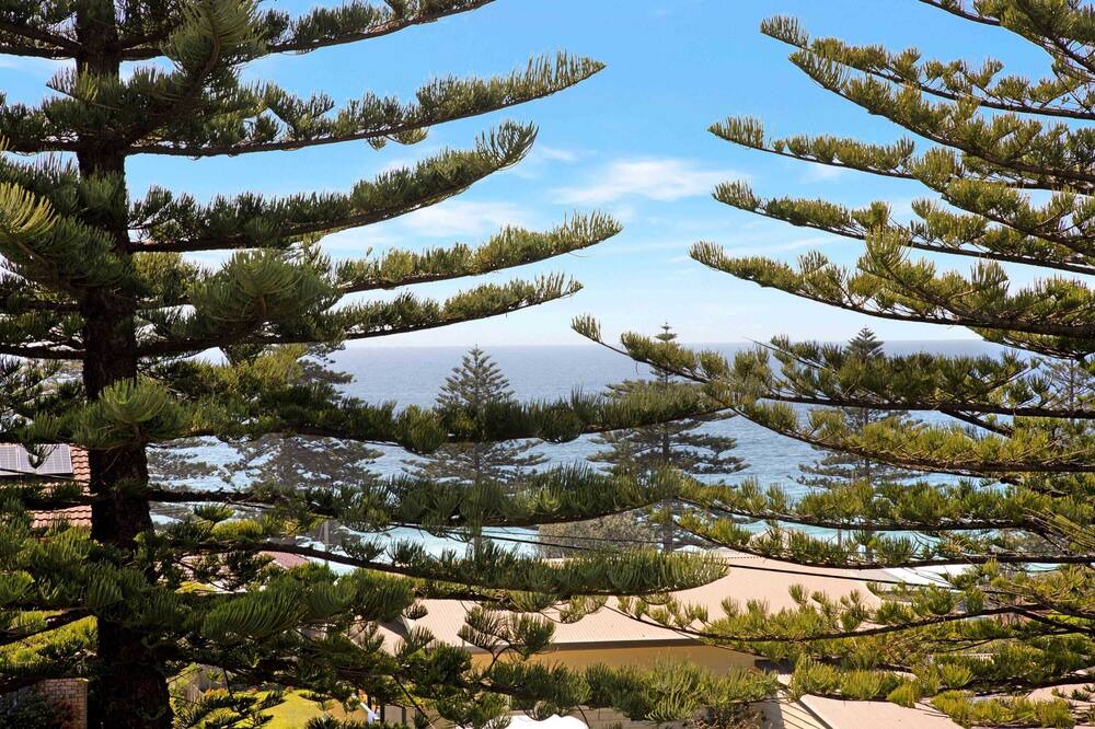 Photo of Others in Tuross Head