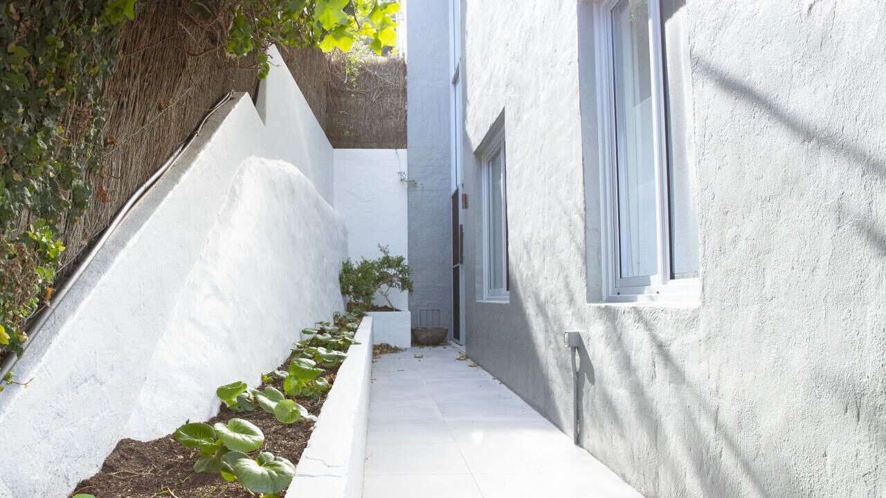 Photo of Outdoor in Whale Beach