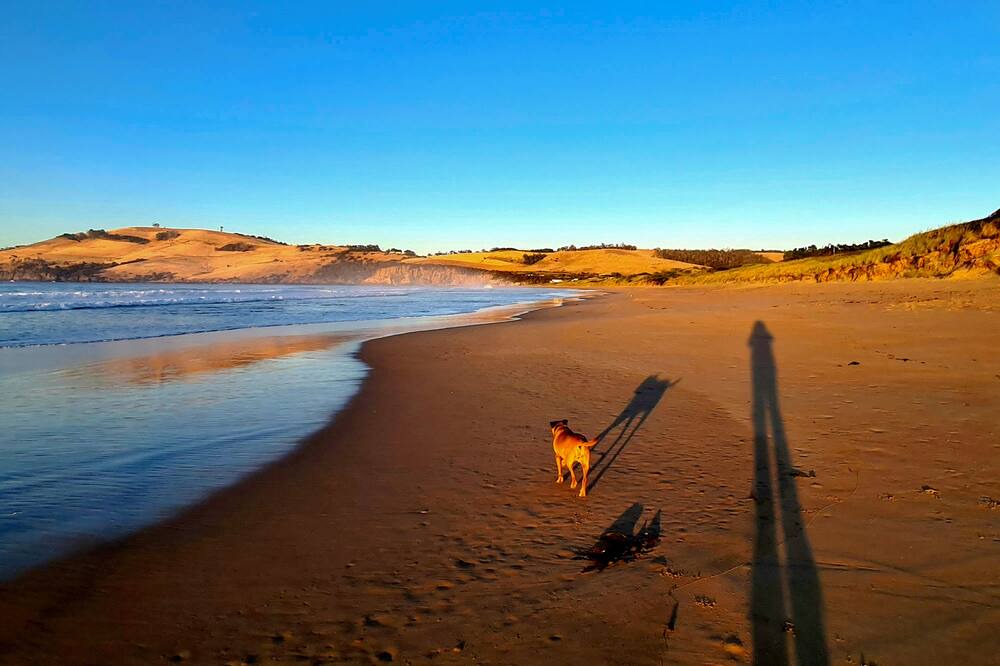 Photo of Others in Clifton Beach