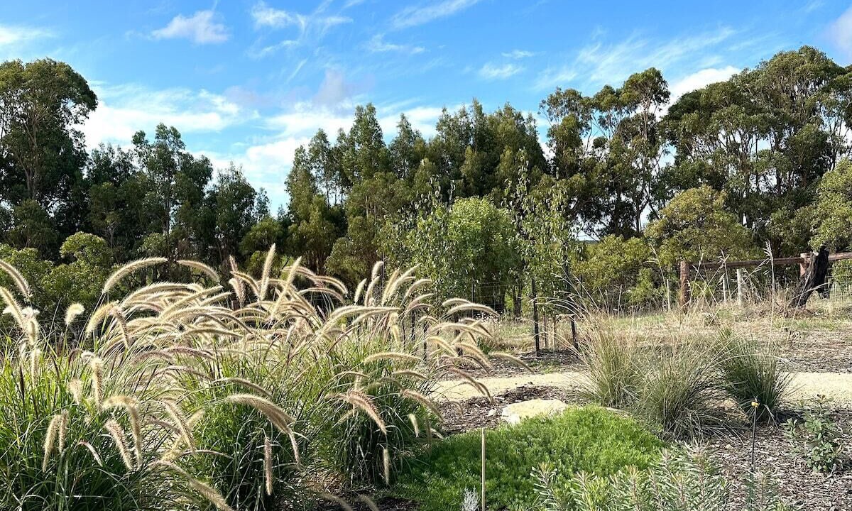 Photo of Outdoor in Wangolina