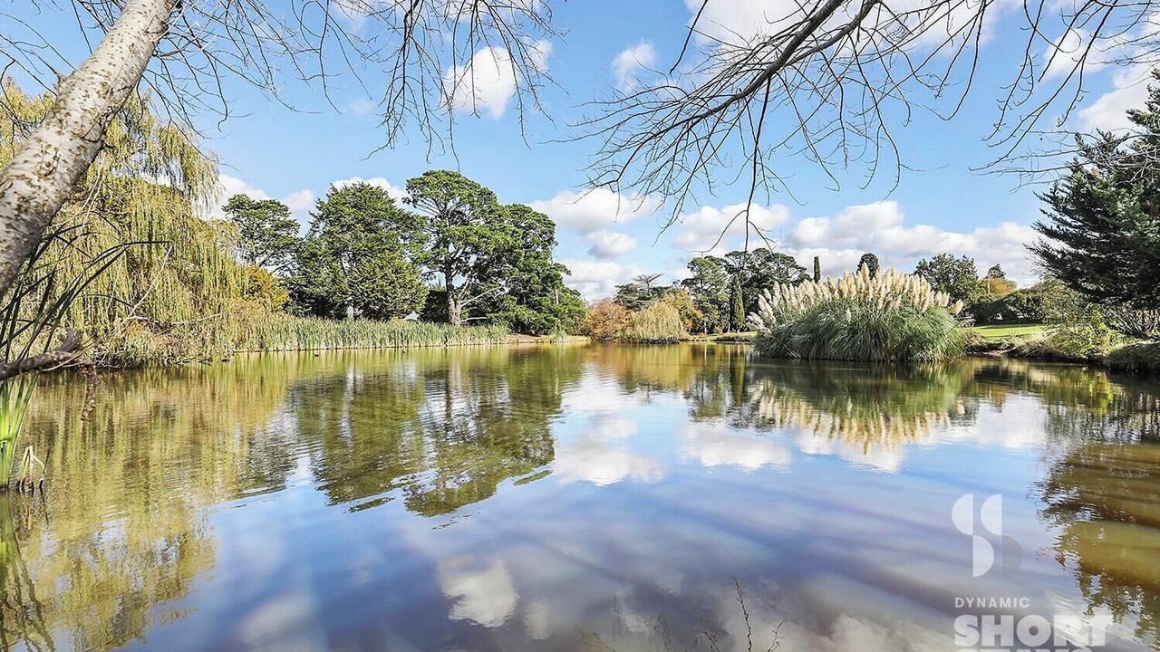 Photo of Others in Riddells Creek