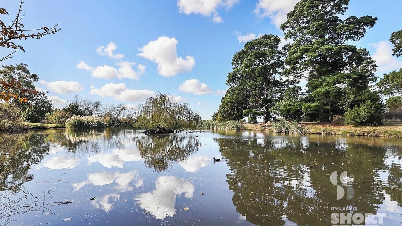 Photo of Outdoor in Riddells Creek