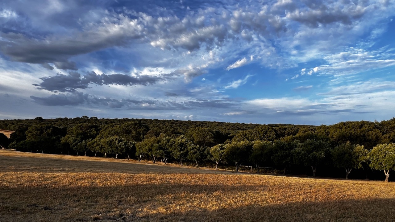 Photo of Outdoor in Gracetown
