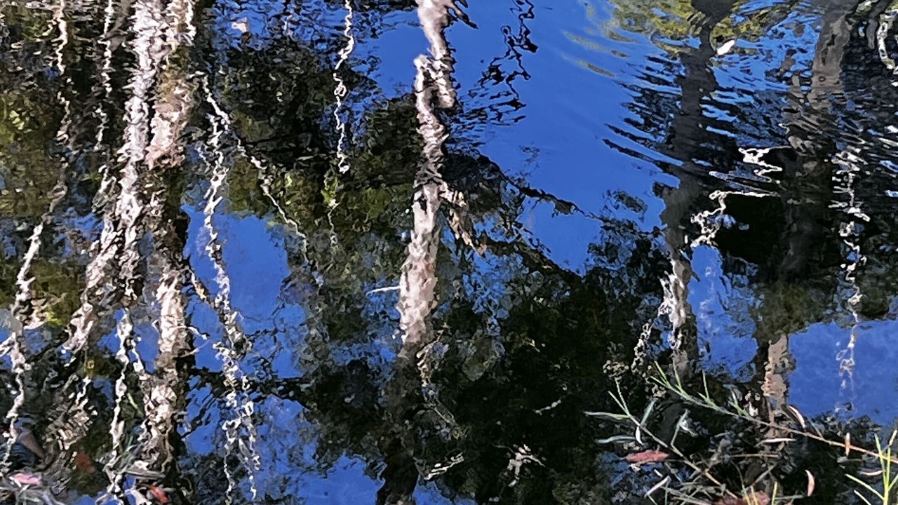 Photo of Outdoor in Gracetown