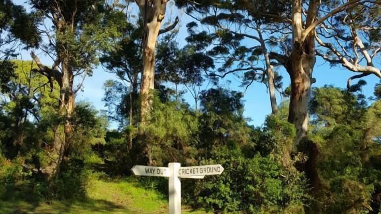 Photo of Outdoor in Gracetown