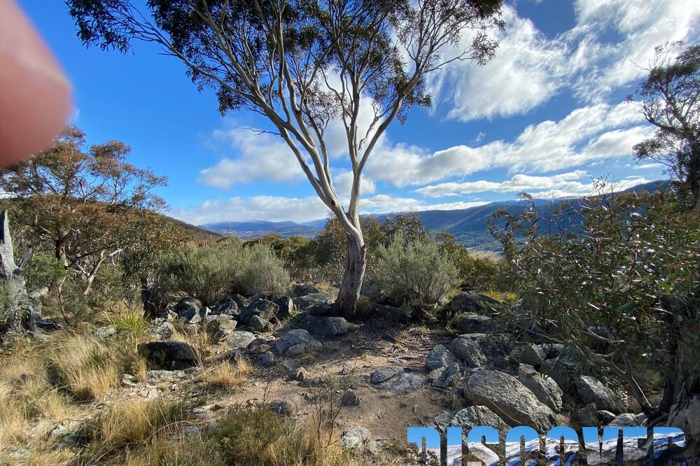 Photo of Outdoor in Crackenback