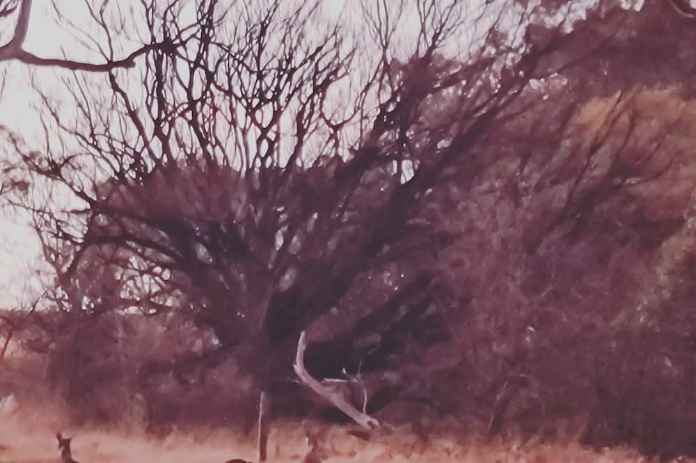 Photo of Outdoor in Berridale