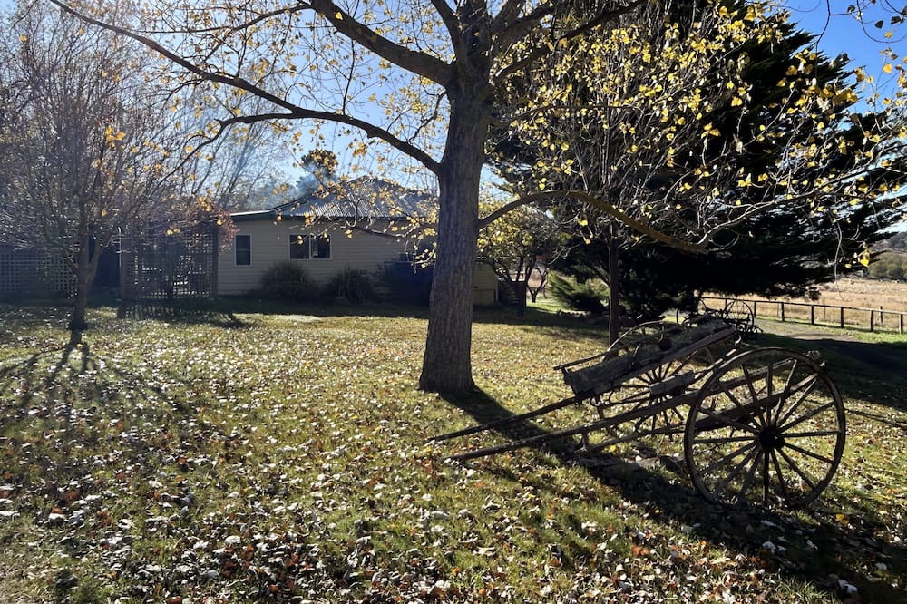 Photo of Outdoor in Berridale