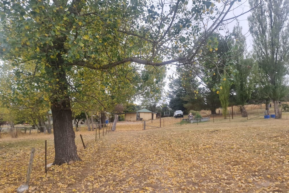 Photo of Outdoor in Berridale