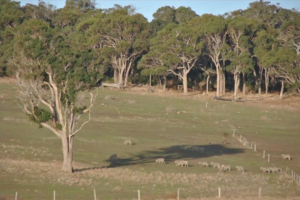 Photo of Others in Gracetown