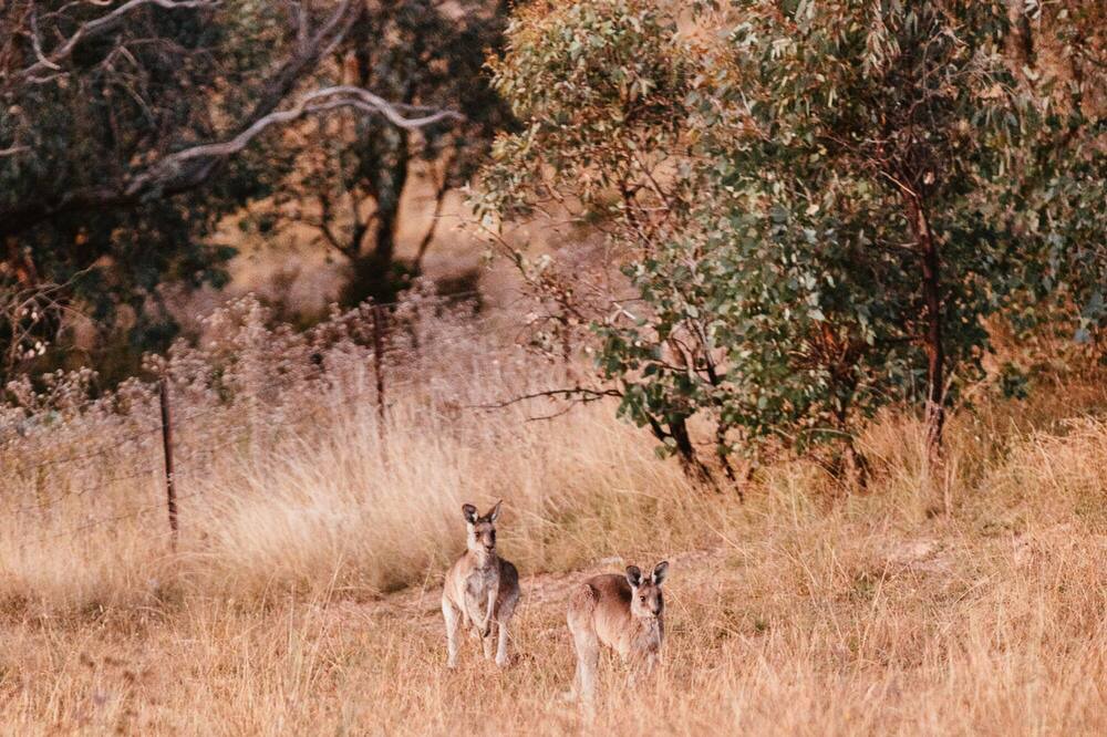 Photo of Others in Grattai