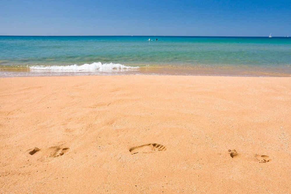 Photo of Others in Narrabeen