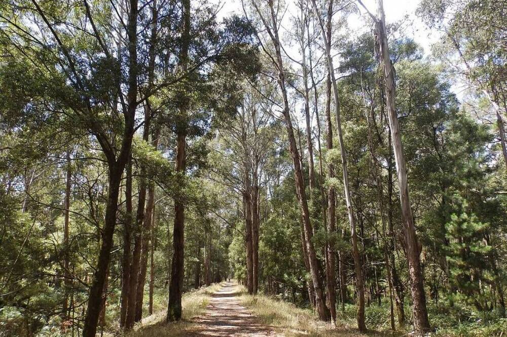 Photo of Others in Trentham