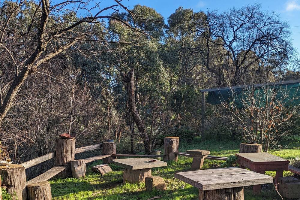 Photo of Outdoor in Castlemaine